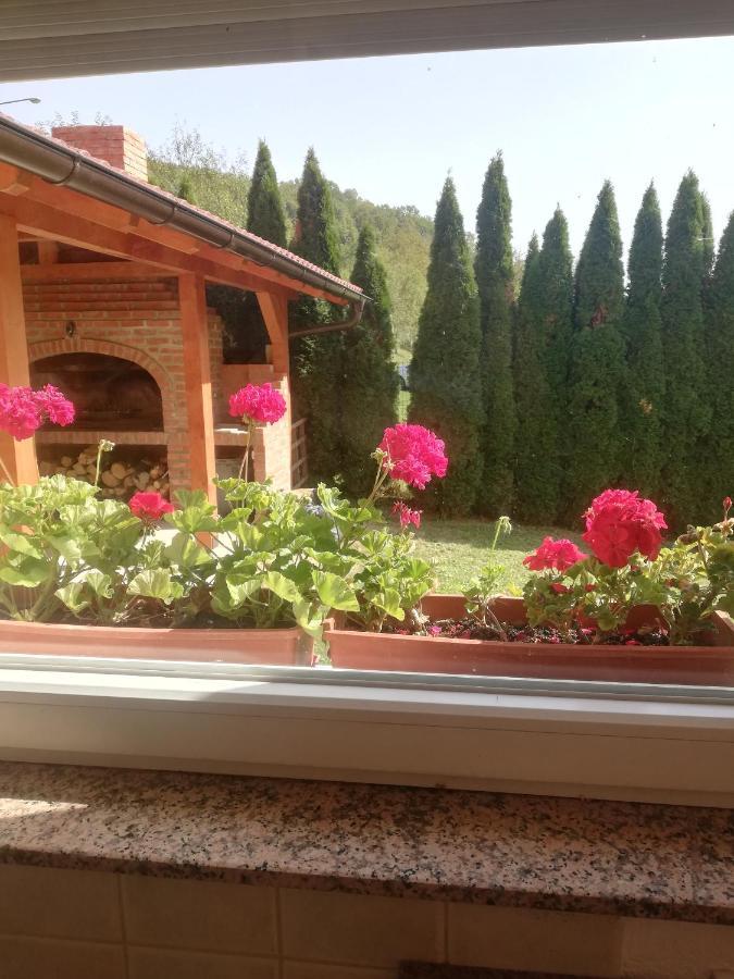 Holiday Homer Kuca Na Obali Vrbasa Banja Luka Kültér fotó
